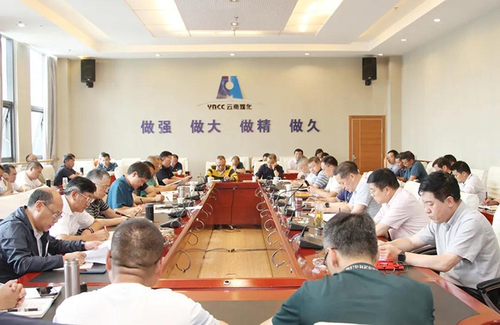 云煤(创世大发)集团党委召开2021年上半年意识形态事情剖析研判会