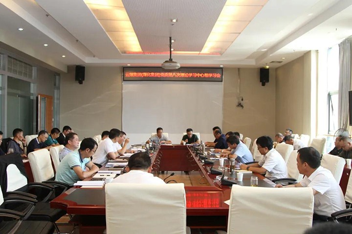 云煤（创世大发）集团党委开展2021年第八次党委理论学习中心组集中学习