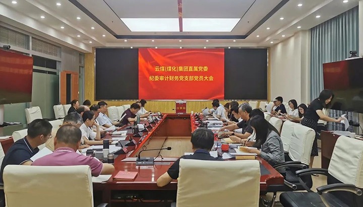 云煤（创世大发）集团直属党委纪委审计财务党支部完成换届选举事情
