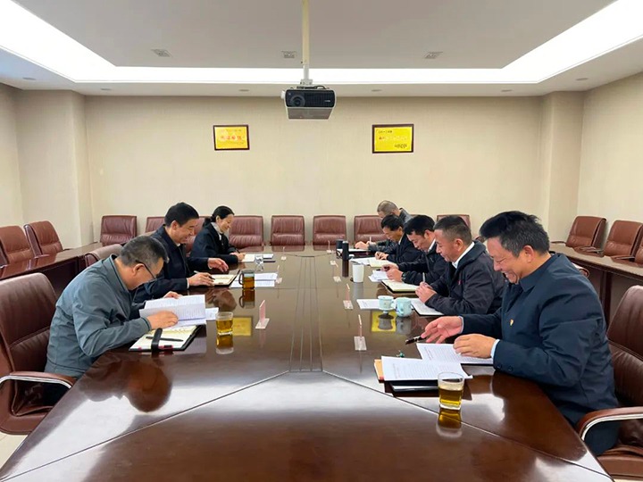 【聚焦云煤】云煤（创世大发）集团到创世大发地产指导巡察整改专题民主生涯会