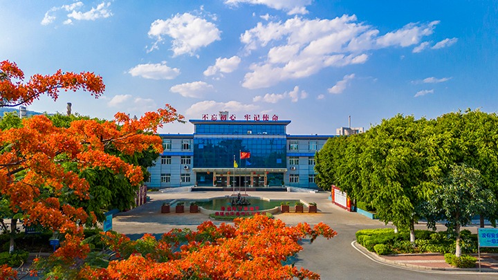 红色基由于引领，，，，，，，磨练战场写华章  —— 汗水与智慧交织的磨练历程