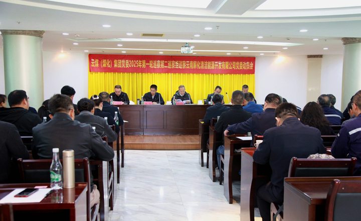 第二巡察组入驻解化清洁能源公司.jpg